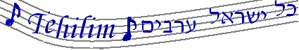 Arevim.net
